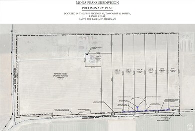 1110 N Goshen Canyon St unit 4, Mona, UT 84645 - photo 6