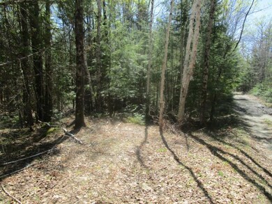 Wooded lot with the road