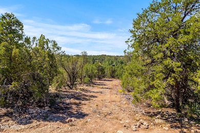 3656 Zane Grey Trail unit 60, Overgaard, AZ 85933 - photo 3