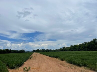 0 Hwy 71 unit 11462320, Colfax, LA 71417 - photo 2