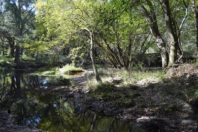 Creek adjacent to house