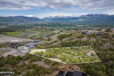 1456 Monroe Peak Circle-2