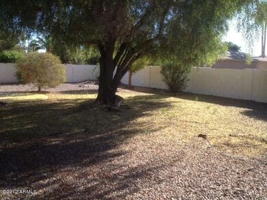 Big backyard