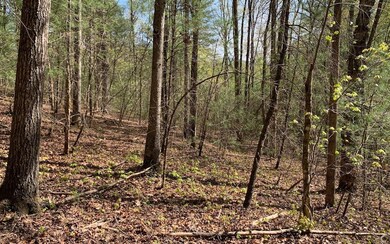 LT 1 Dover Highlands Trail, Ellijay, GA 30540 - photo 2