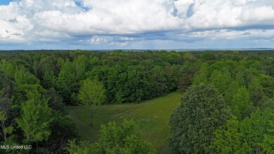 DJI_20250512175912_0472_D