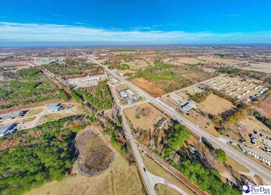 1706 S Main St, Darlington, SC 29532 - photo 4