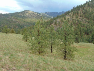 15 Shady Spring Ln, Cascade, MT 59421 - photo 6