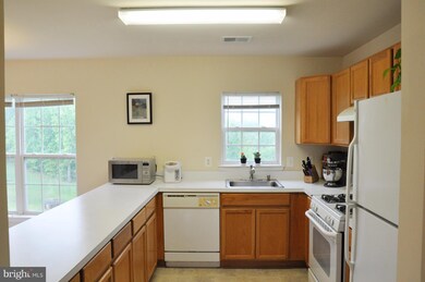 23432 Rainbow Arch Dr, Clarksburg, MD 20871 - photo 4