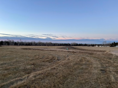 16068 County Road 56, Nashwauk, MN 55769 - photo 3