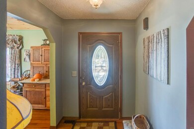 744 Shady Ln, Freeburg, IL 62243 - photo 5