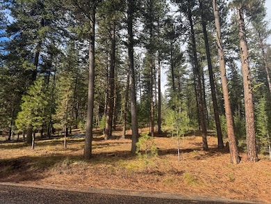 TBD Sorrel Dr unit 21, New Meadows, ID 83654 - photo 2