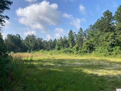 000 State Route 520 unit est 52 acres, Homer, LA 71040 - photo 3