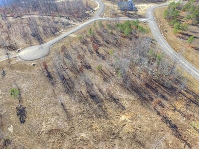 0 Eagle Eye Dr unit RTC2721801, Jasper, TN 37347 - photo 5