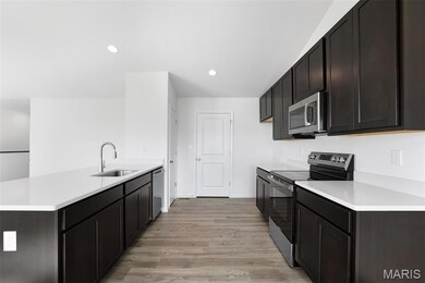 1012 Braid Trail Dr, Union, MO 63084 - photo 7