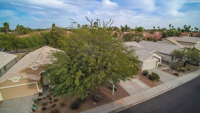 955 N Albert Dr, Chandler, AZ 85226 - photo 5