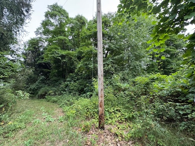 2724 N Us Highway 31, Niles, MI 49120 - photo 7