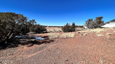 TBD S Pioneer Trail -- unit 160, Snowflake, AZ 85937 - photo 6