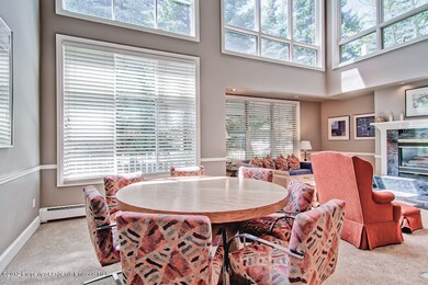 730 W Bleeker St unit West, Aspen, CO 81611 - photo 3