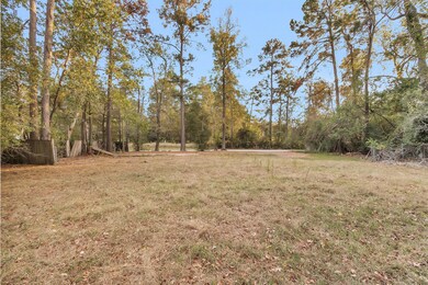 1298 Hope Rd, Conroe, TX 77384 - photo 6