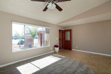 Plenty of Natural Light