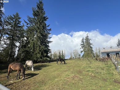 24853 Warren Rd, Rainier, OR 97048 - photo 6