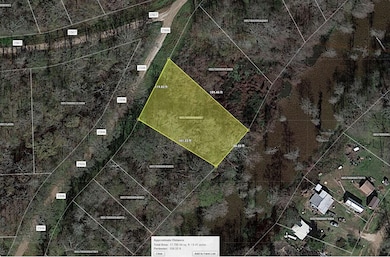 County Road 2506, Liberty, TX 77575 - photo 6