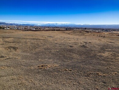 67133 Locust Rd, Montrose, CO 81401 - photo 6