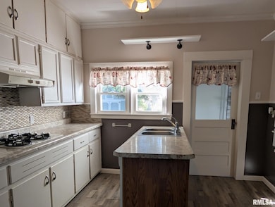 405 S State St, Christopher, IL 62822 - photo 4