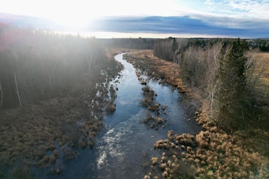 10 Acres Cth N, Crandon, WI 54511 - photo 7