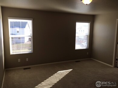 6723 Grainery Rd, Timnath, CO 80547 - photo 5