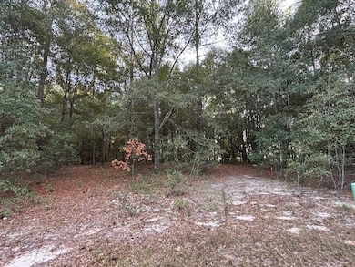 Lot 33 Marie Ln, Bainbridge, GA 39817 - photo 3