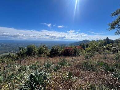 TBD Panorama Dr, Fancy Gap, VA 24328 - photo 7