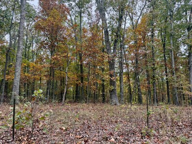 000 Spout Spring Rd, Fordland, MO 65652 - photo 3