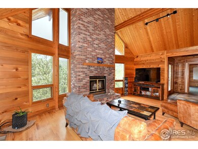 Wood Burning Fireplace