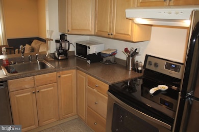 3825 El Camino Place unit 15, Alexandria, VA 22309 - photo 6