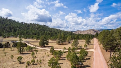 Lot H Cold Spring Trail, Custer, SD 57730 - photo 6