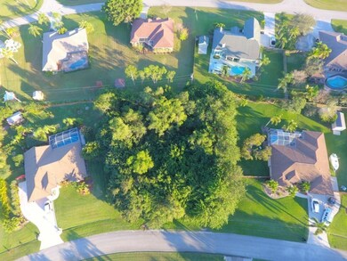 1551038693419_DJI_0003