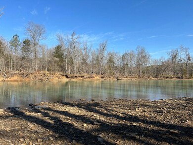 19939 Arkansas 23, Ozark, AR 72949 - photo 2
