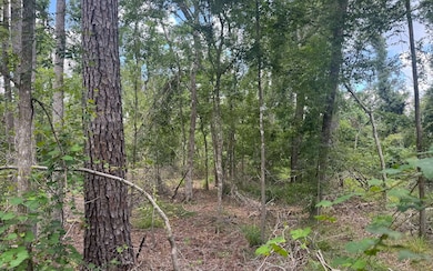 0 Tbd Sw 74th Ct, Jasper, FL 32052 - photo 3