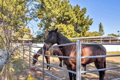 1133 E Calle Monte Vista, Tempe, AZ 85284 - photo 2