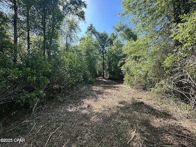 00 Marcus Dr, Greenwood, FL 32443 - photo 2