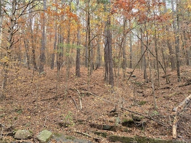 000 Cedar Branch Rd, Hattieville, AR 72063 - photo 2