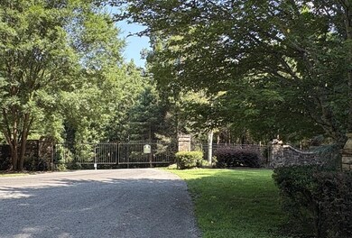 Lot 157 Roaring Forks Ln, Ellijay, GA 30540 - photo 6