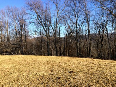 northeastern view upper meadow