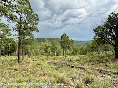 732 Center St, Ruidoso, NM 88345 - photo 4