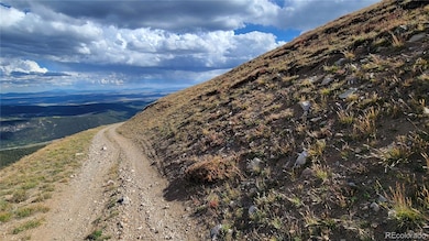 MS #17664- Last Rose Barry Lyndon Rory Omore - 66 66%, Alma, CO 80420 - photo 6