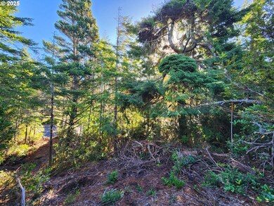 0 Windleaf Way unit TL4100 313727279, Florence, OR 97439 - photo 6