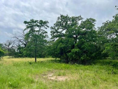 Lot 29 Galway, Poolville, TX 76487 - photo 4
