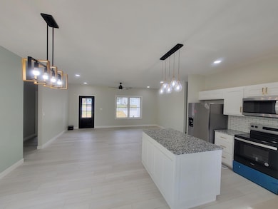 Kitchen and Living