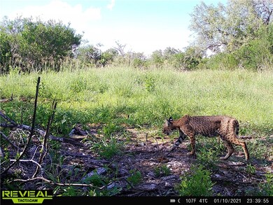 0 Fm 673 unit 407286, Beeville, TX 78102 - photo 4